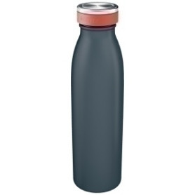 COMPRAR BOTELLA LEITZ COSY 500ml GRIS
