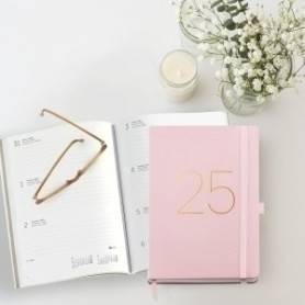 COMPRAR AG.MR.CAT. BASIC CHESTER PLUS S/V ROSA