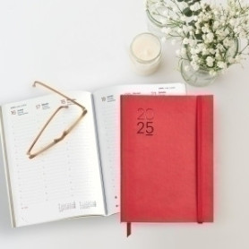 COMPRAR AG.MR. BASIC LUXOR PLUS S/V ROJO