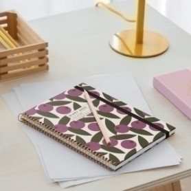 COMPRAR AG.MR. NATURA PLUS D/P OLIVA