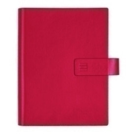 COMPRAR AG.F.CHIP SMART 500 ROJO