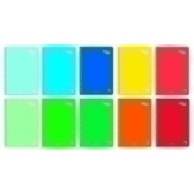 COMPRAR BLOC PACSA XTRA PLUS 4º 80h PT.3,5 (10)