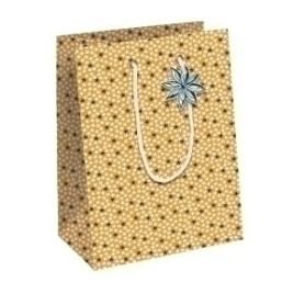 COMPRAR BOLSA PAPEL KRAFT  25x22 CITRICOS P/6