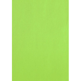 COMPRAR BOLSA PAPEL TV CEL. 24x40 PISTACHO P/25