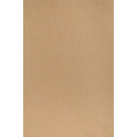 COMPRAR BOLSA PAPEL TV KRAFT 31x47 MARRON P/25