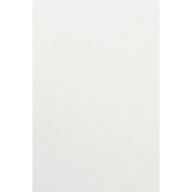 COMPRAR BOLSA PAPEL TV CEL. 20x28 BLANCO P/25