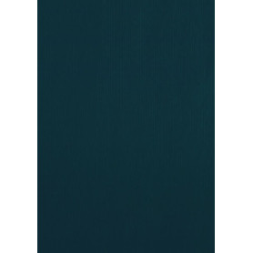 COMPRAR BOLSA PAPEL TV CEL. 40x45 NEGRO P/25