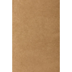 COMPRAR BOLSA PAPEL TV KRAFT 36x29 KRAFT P/25