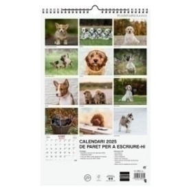 COMPRAR CAL.FIN.CAT. PARET 250x400 CADELLS