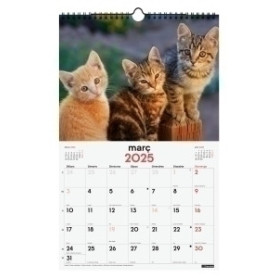 COMPRAR CAL.FIN.CAT. PARET 250x400 GATETS