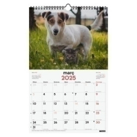 COMPRAR CAL.FIN.CAT. PARET 250x400 GOSSOS I GATS