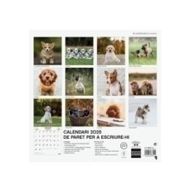 COMPRAR CAL.FIN.CAT. PARET 300x300 CADELLS