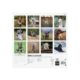 COMPRAR CAL.FIN. INT. PARED 300x300 DOGS