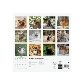 COMPRAR CAL.FIN. INT. PARED 300x300 CATS