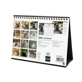 COMPRAR CAL.FIN. INT. SOBR. 210x150 CATS