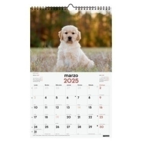 COMPRAR CAL.FIN. PARED 250x400 CACHORROS