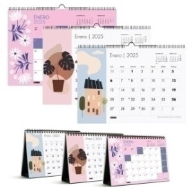 COMPRAR CAL.MR. TRENDS LOTE 24