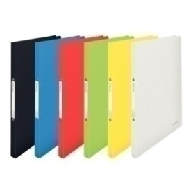 COMPRAR CARP. ESSEL A4 2AN.16 mm. SURTIDO VIVIDA