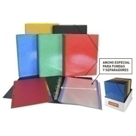 COMPRAR CARPETA SENFORT ESP. Fº 4 AN.30 EXP. 10