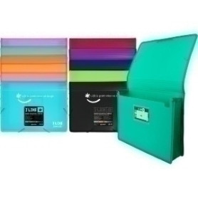 COMPRAR CARPETA SOLAP.GRAFOP.PP LIKE 2 A4 SURT.