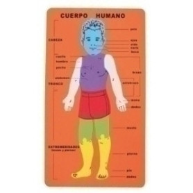 COMPRAR GOMA EVA FIXO PUZZLE 20x32 CUERPO HUMANO