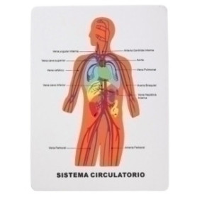 COMPRAR GOMA EVA FIXO PUZZLE 22x28 SISTEMA CIRCU