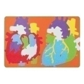 COMPRAR GOMA EVA FIXO PUZZLE 23x32 SISTEMA CARDI
