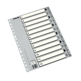 COMPRAR INDICE ESSELTE PP NUM.Fº ps.1-12 IND.B/N