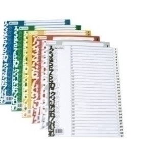 COMPRAR INDICE GRAFOPLAS PP NUM.Fº ps.1-31 GRIS