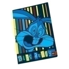 COMPRAR LIBRETA PIGNA A4 40h 60g CD.5 DECORADAS