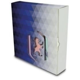 COMPRAR LOTE OXFORD REGALO EXECUTIVE PASTEL