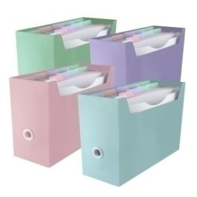 COMPRAR ORGANIZADOR CARP. BLUSH SURT.4 COL