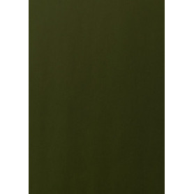 COMPRAR PAPEL REGALO BOBINA TV 70x100 KRAFT VERD