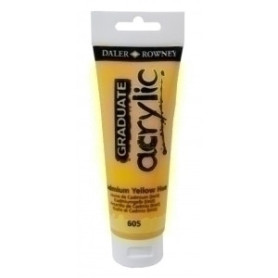 COMPRAR PINTURA DALER ROWNEY GRADUATE 120ml AM.C