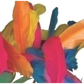 COMPRAR PLUMAS INDIO NIEFENVER BOLSA DE 50 UD