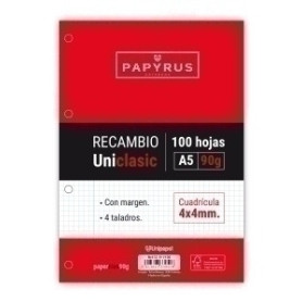 COMPRAR RECAMBIO PAPYRUS A5 100h 4 TAL.CD.4 C/M