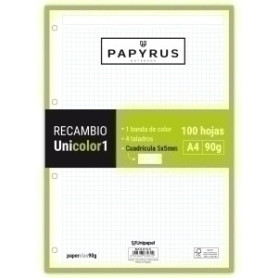 COMPRAR RECAMBIO PAPYRUS A4 100h 4 TAL.CD.5 LIM