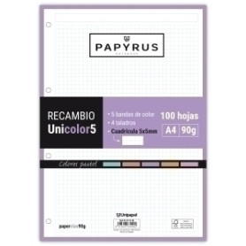 COMPRAR RECAMBIO PAPYRUS A4 100h 4 TAL.CD.5 PAS
