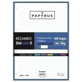 COMPRAR RECAMBIO PAPYRUS A4 100h 4 TAL.CD.5 VIV