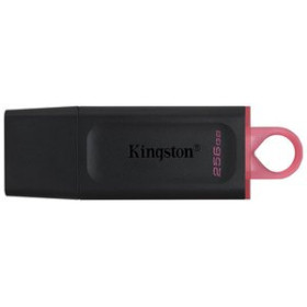 Memorias USB MEMORIA USB 256GB KINGSTON DTX/256GB 3.2 (Incluye Canon LPI de 0