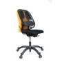 Soportes lumbares SOPORTE LUMBAR FELLOWES MESH PROFESIONAL 10401017  2033KF53