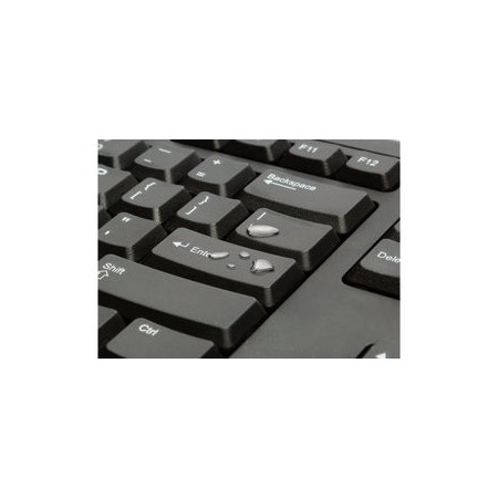 Teclados