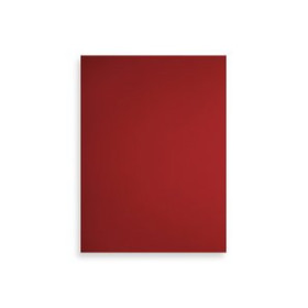 Tapas de cartón TAPA de ENCUADERNAR FABRIANO 23x32cm CARTULINA 200 g ROJO PAQUETE de 50 41601068  LC3219XLBK