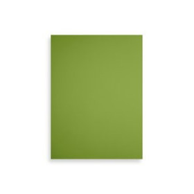 Tapas de cartón TAPA de ENCUADERNAR FABRIANO 23x32cm CARTULINA 200 g VERDE LIMA PAQUETE de 50 41601090  LC3219XLVAL