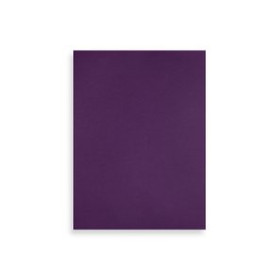 Tapas de cartón TAPA de ENCUADERNAR FABRIANO 23x32cm CARTULINA 200 g VIOLETA PAQUETE de 50 41201027  BCI15BK