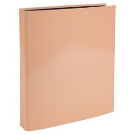 Carpetas de anillas CARPETA de ANILLAS EXACOMPTA AQUAREL CARTON FORRADO A4 4 an.25mm CORAL 23101417  00024199