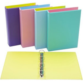 Carpetas de anillas CARPETA de ANILLAS IBERPLAS PVC ESCOLAR Fº 4 an.25mm FUN COLOR EXP. 12 43702034  10040031