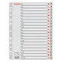 Índice alfabético PP y PVC INDICE ESSELTE PP ALFABETICO A4 20 pestañas 11 taladros GRIS con IND.COL. 22201137  R132