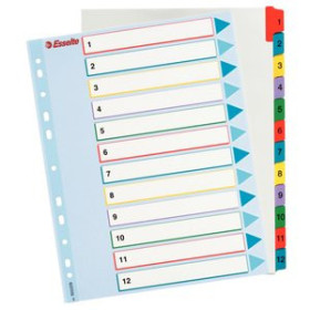 Índice numérico cartulina INDICE ESSELTE CARTULINA MYLAR BORRABLE NUMERICO A4+ pestañas 1-12 11 taladros 12601583  813069C