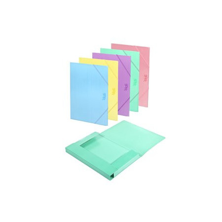 Carpetas de gomas CARPETA de GOMAS y SOLAPAS CARCHIVO SOFT CARTON BRILLO Fº SURTIDO EXPOSITOR DE 30 12601281  117810C